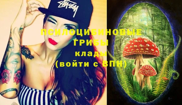 PSILOCYBIN Краснослободск