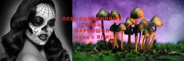 PSILOCYBIN Краснослободск