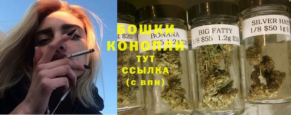PSILOCYBIN Краснослободск