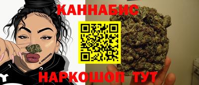 крисы Бийск