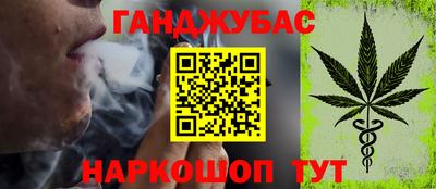 крисы Бийск