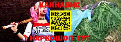 крисы Бийск