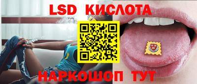 крисы Бийск