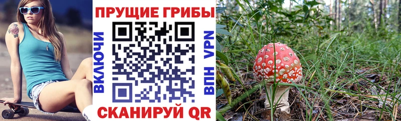 Галлюциногенные грибы мухоморы Дербент