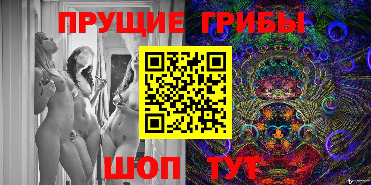 Псилоцибиновые грибы Cubensis  Дербент 