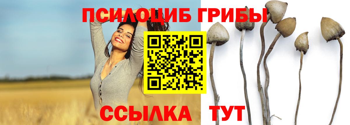 Дербент  Псилоцибиновые грибы мухоморы  Вход с VPN  Галлюциногенные грибы Psilocybine cubensis 