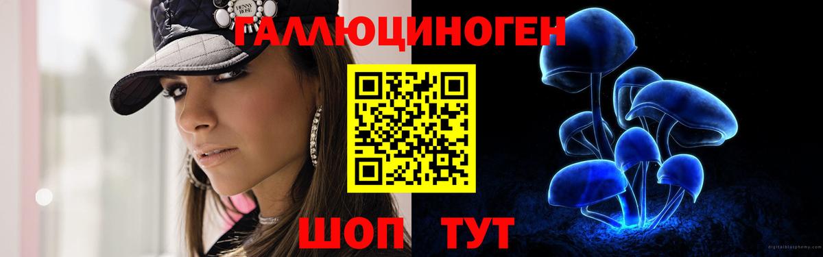 Псилоцибиновые грибы прущие грибы Дербент